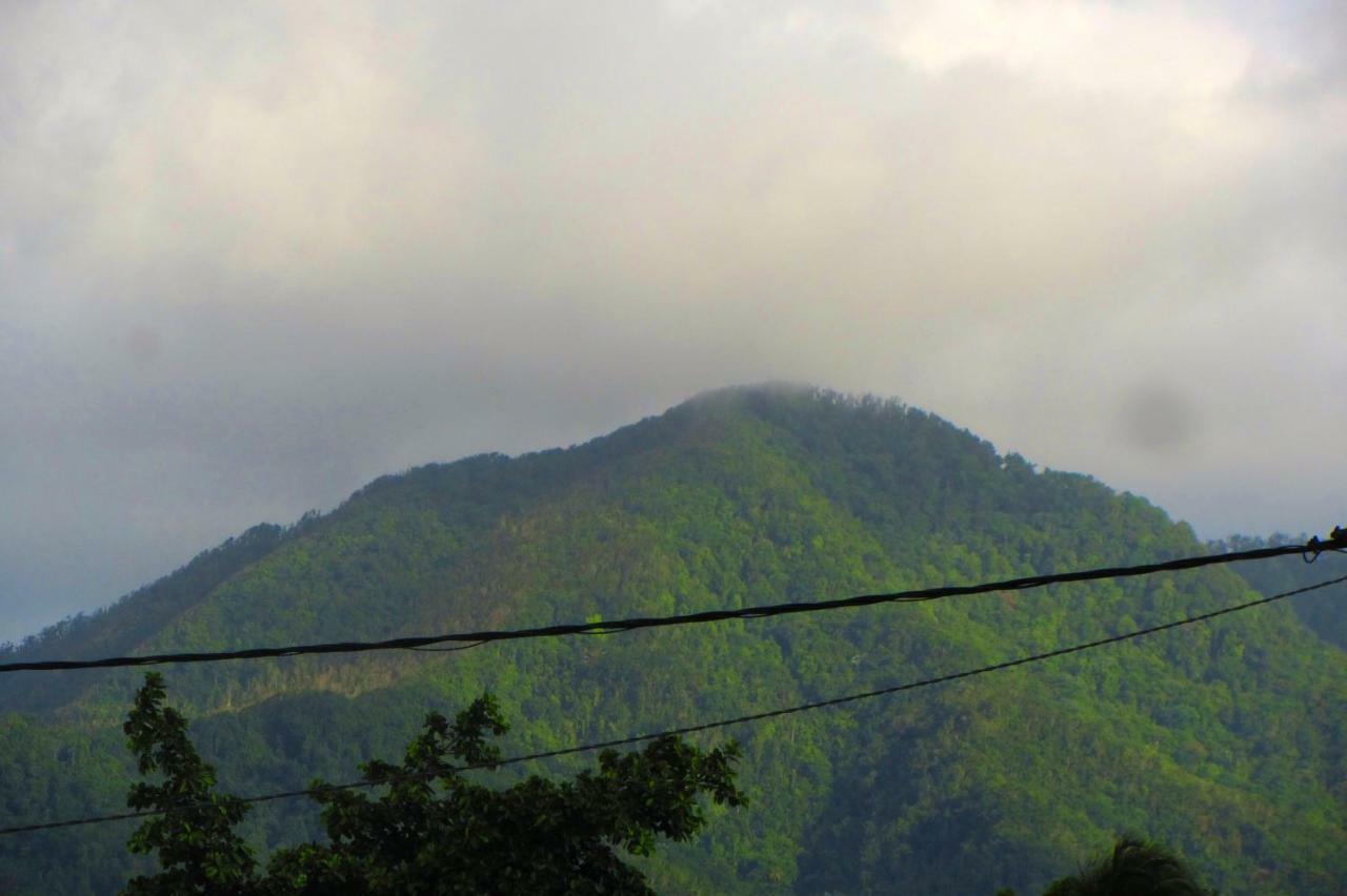 Or Bleu-Bungalow Volcan Soufriere-Vue Sur Mer Saint-Claude Dış mekan fotoğraf