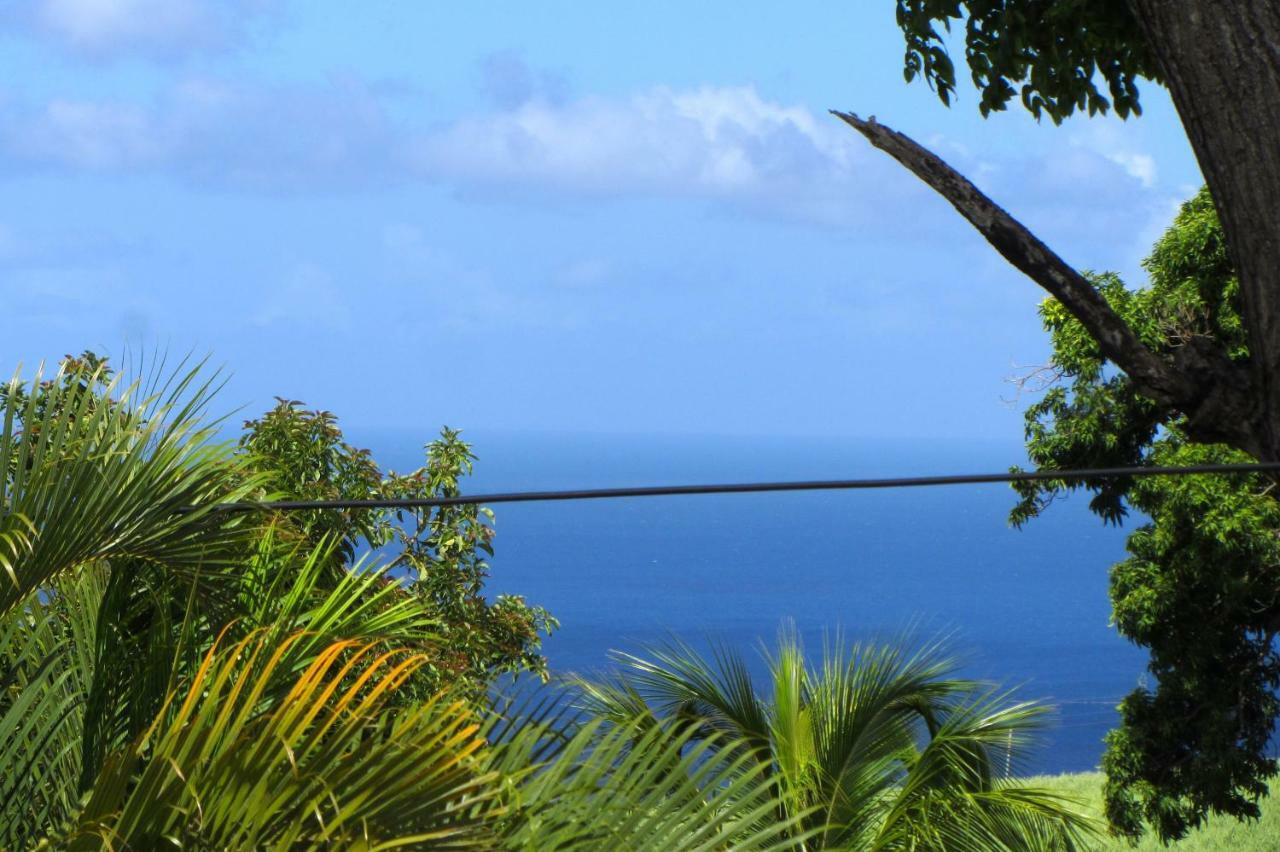 Or Bleu-Bungalow Volcan Soufriere-Vue Sur Mer Saint-Claude Dış mekan fotoğraf